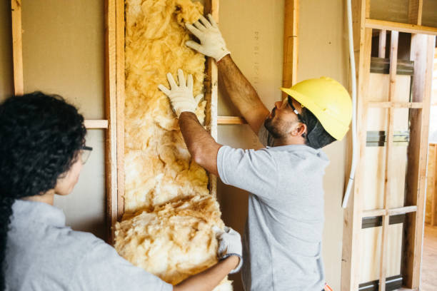 Professional Insulation in Swedeland, PA