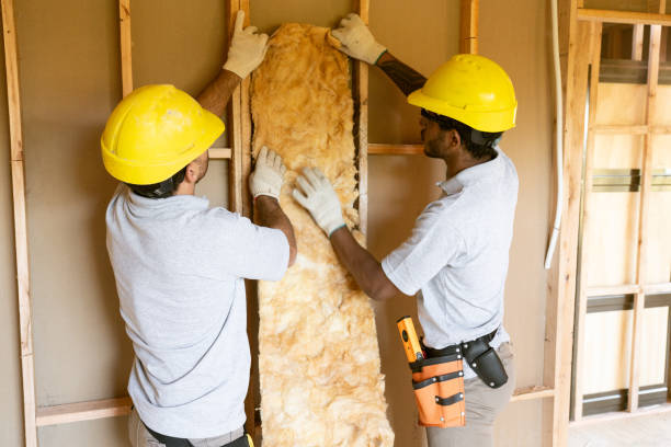 Best Basement Insulation  in Swedeland, PA